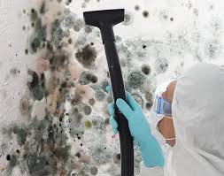 Mold Removal & Remediation